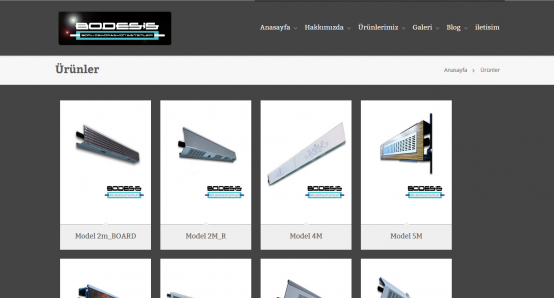 BODESİS